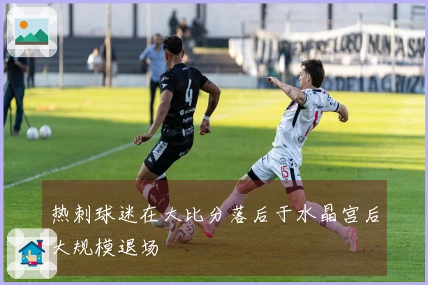 热刺球迷在大比分落后于水晶宫后大规模退场